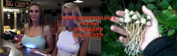 молекула духа Баксан