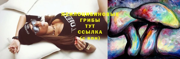 молекула духа Баксан