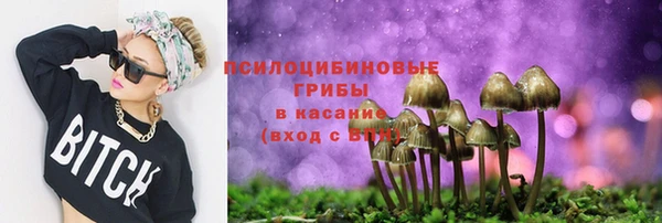 ГАЛЛЮЦИНОГЕННЫЕ ГРИБЫ Балахна