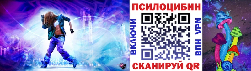 наркотики  Лаишево  Псилоцибиновые грибы Psilocybe 